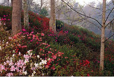 绣湖工作室《The Past Within》新预告 11月2日发售